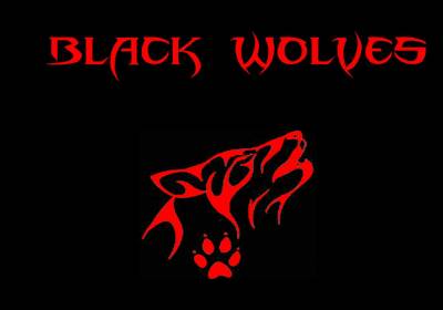 logo Black Wolves